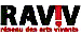 Raviv